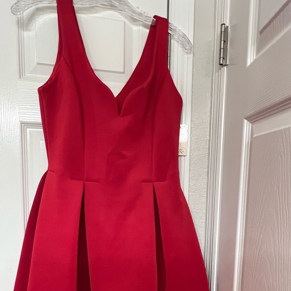 Ali Ro adorable dress with pleated flared bottom so cute dress up or down - Picture 9 of 14